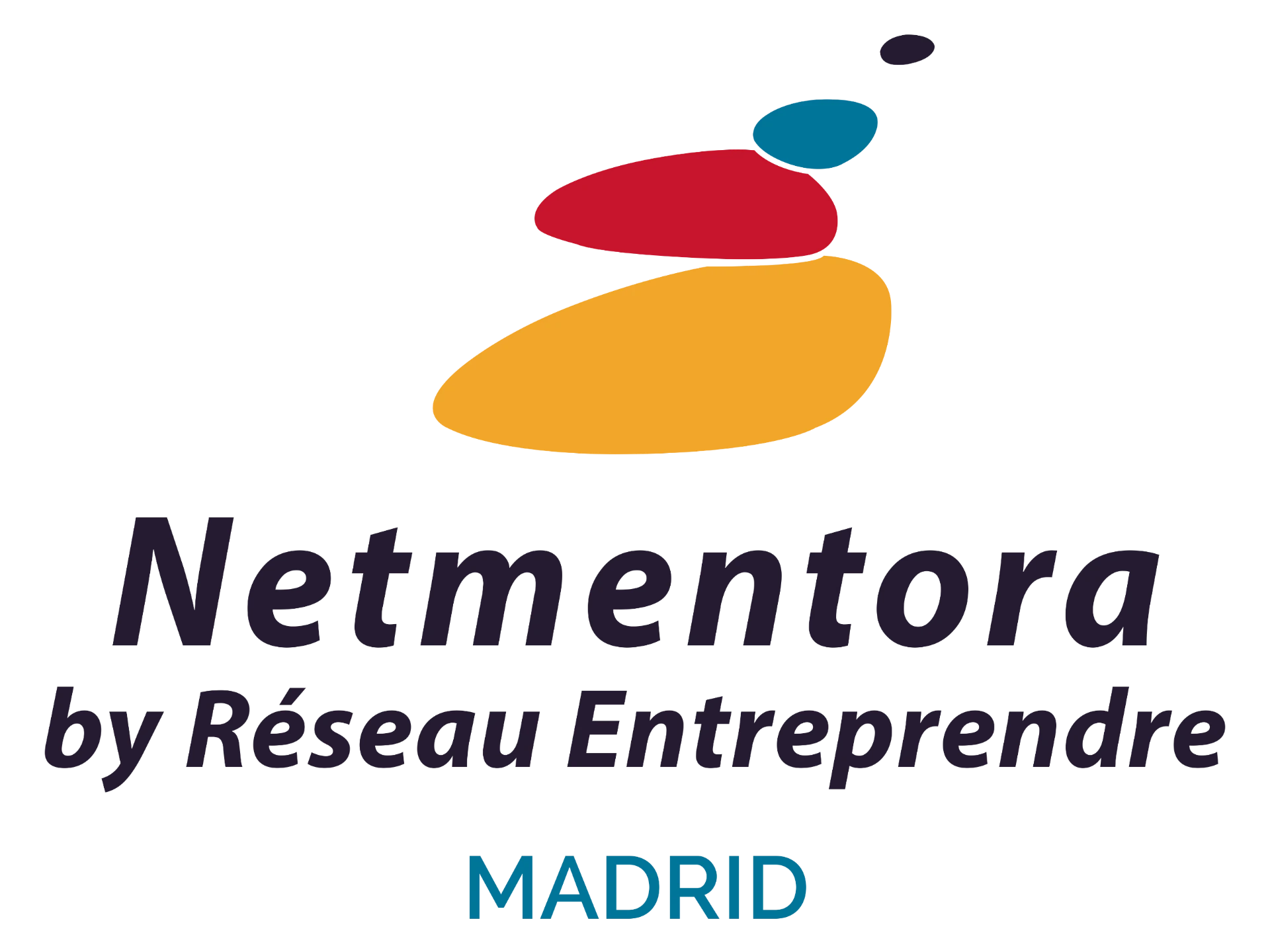 Netmentora logo